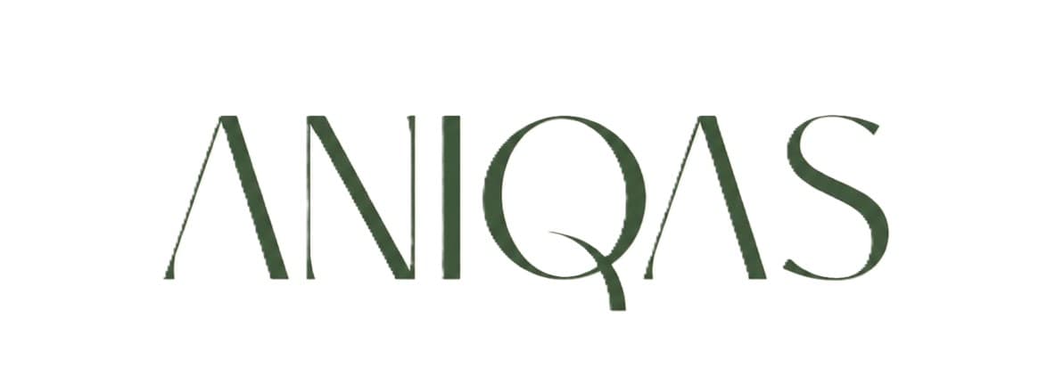 Aniqas logo